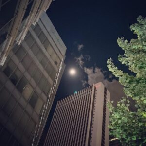 Sou Instagram - 月