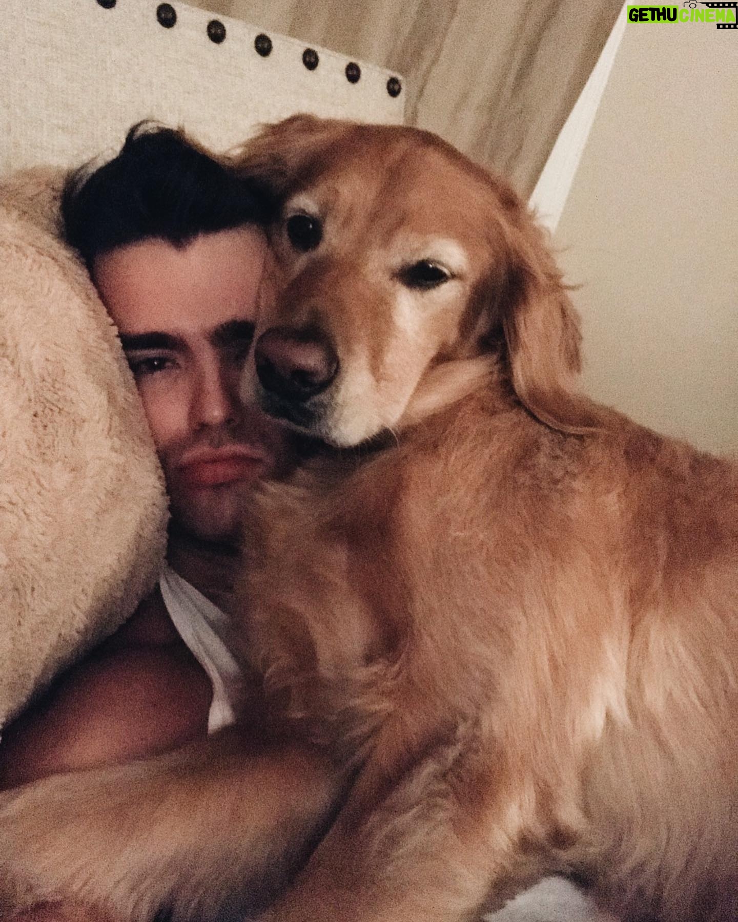 Spencer Boldman - 26.1K Likes - 💔 very sad to share my dog Jack passed, a few weeks shy of his 11th birthday. There aren’t words that capture the profound meaning he brought to my life. His spirit was strong, but his body was tired. So I had to say goodbye- the toughest thing I’ve ever had to do. It has made me reflect on life in general, how precious it is and how all that matters in this world is being with those you love. Never taking for granted the time we have here together on this earth. Whether it be short or long, when you love deeply, it is never enough time. When I die I hope you’re there, waiting for me to walk me through to the other side. Until that day I’ll hold you in my heart, with gratitude and look for you in the great big sky. Love you forever my boy 💛