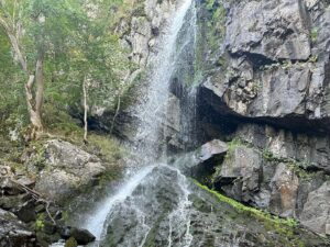 Stanislav Yanevski Instagram - Haven’t posted in a while, but since I’m now back - here we go 😊 hope y’all doing great #happy #nature