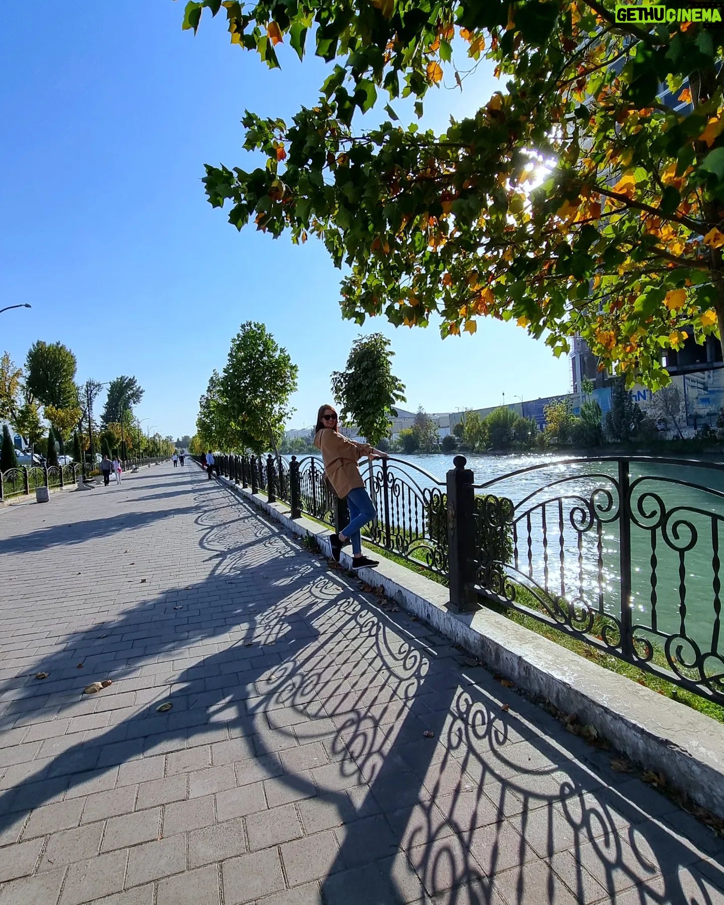 Starling ASMR - 1.4K Likes - Sunny Autumn daysš„° #tashkent #uzbekistan #happy
