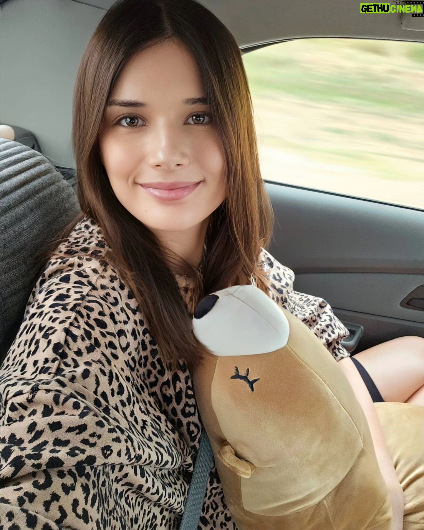 Starling ASMR - 1.6K Likes - Off to the mountains with my buddy šš¤