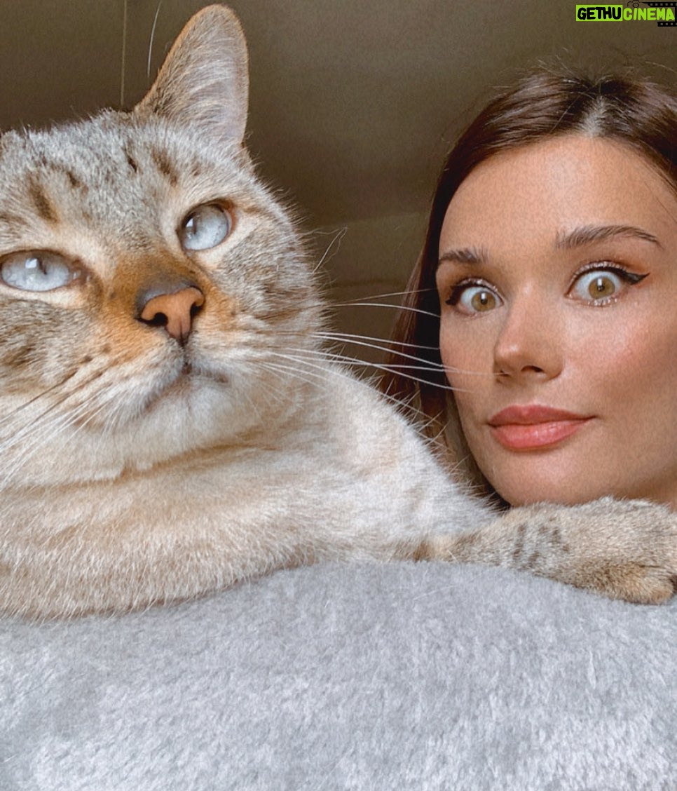 Starling ASMR - 1.8K Likes - A very special release today š
#catlover #asmr #kitty #myboy