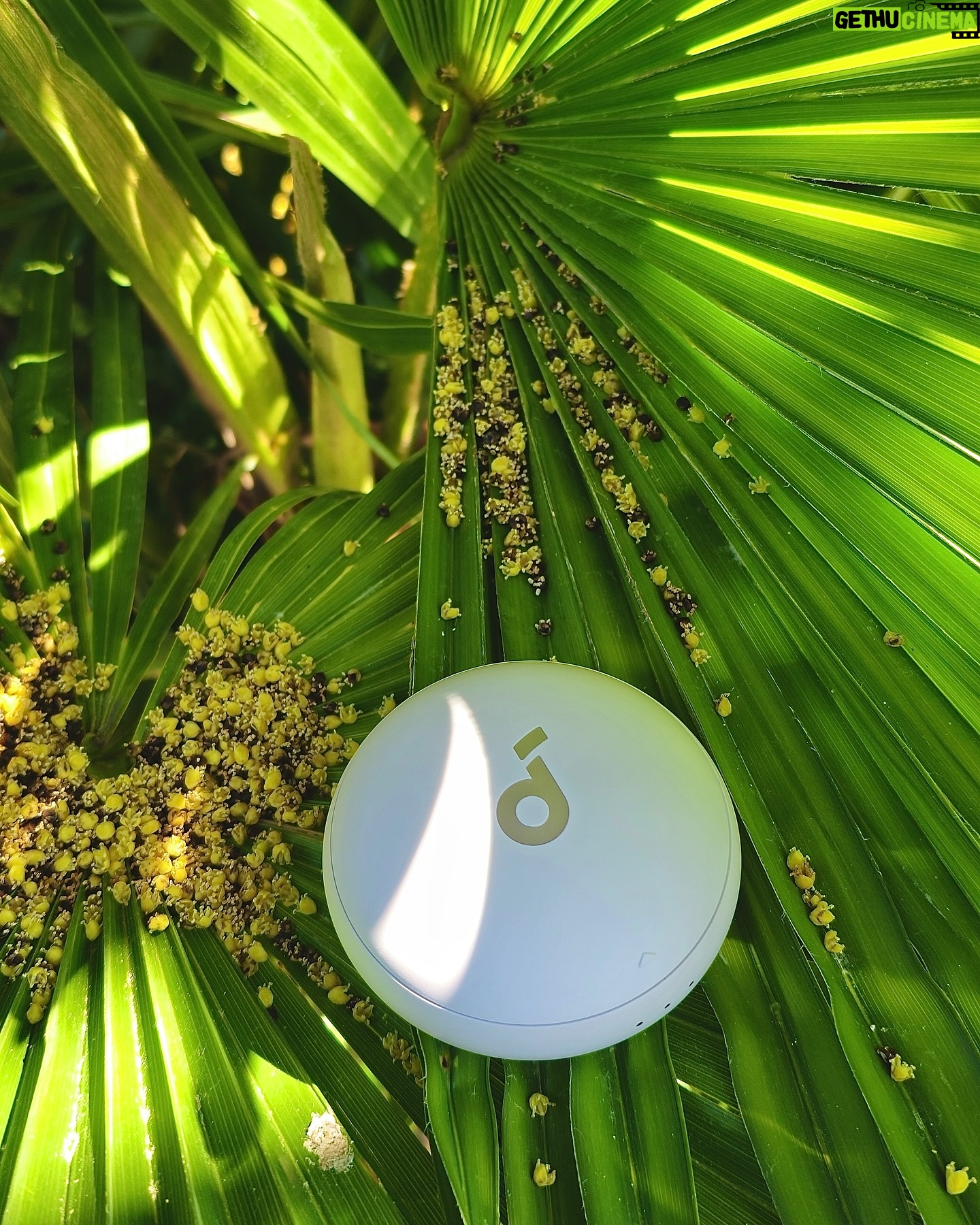 Starling ASMR Gethu Cinema