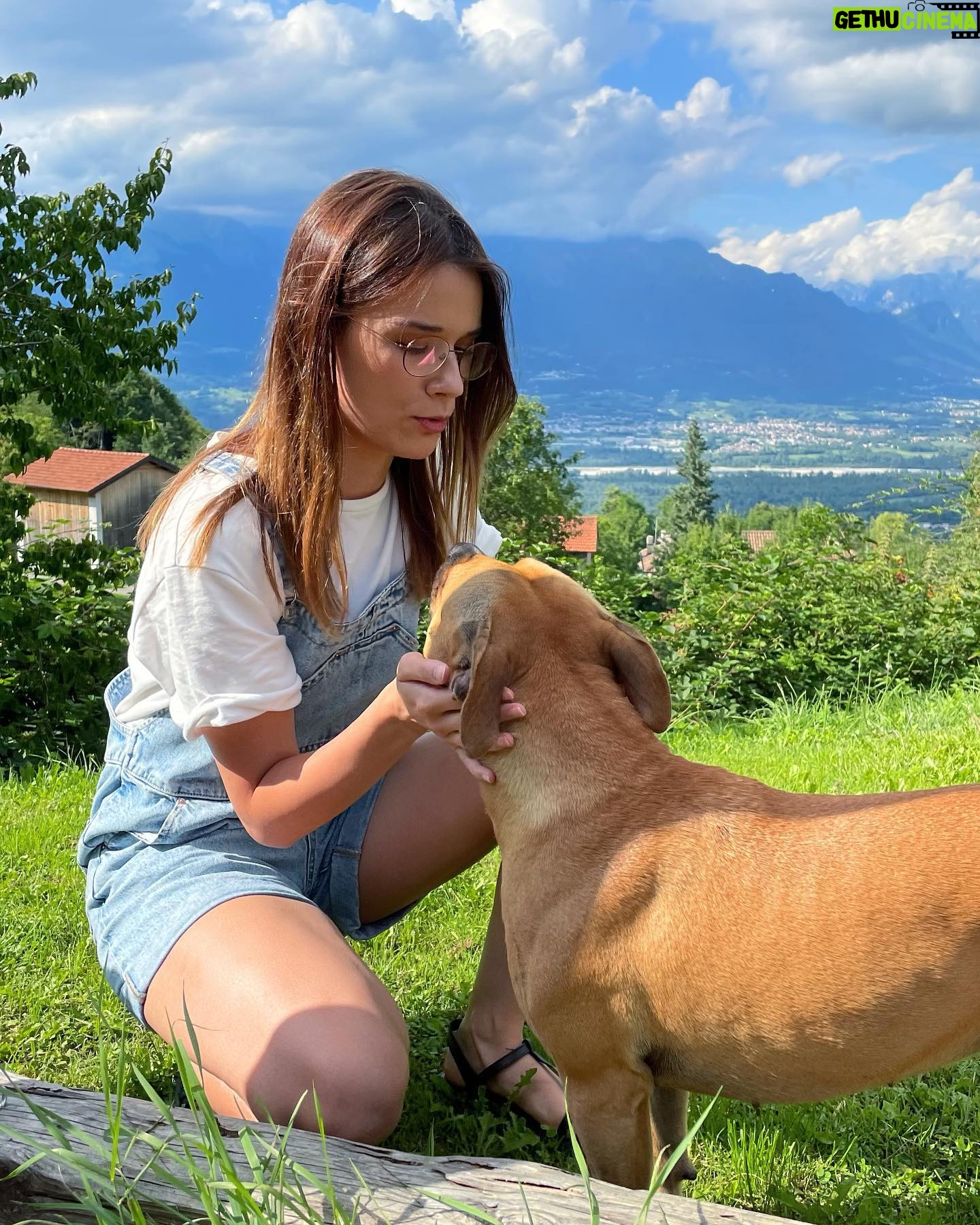 Starling ASMR - 2K Likes - Amorešš
āØ
āØ
#asmr #dog #dogsofinstagram #doglover #dogoftheday #mountains #happydog #happydoggy