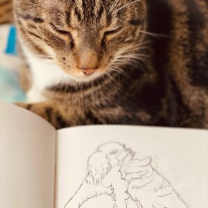 Stef Dawson Instagram - Little sketch of my favorite furry subjects Millie & Geoffrey 🤍 they just had to be involved