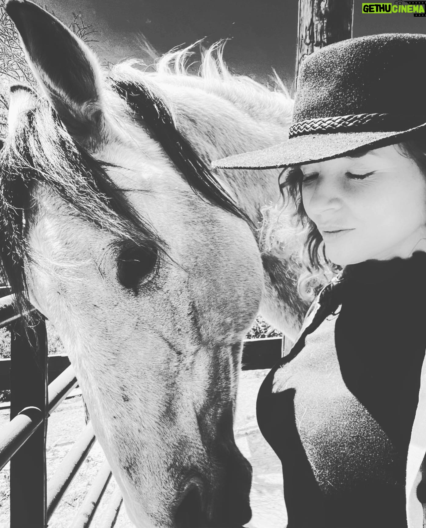 Stef Dawson - 429 Likes - Horse Therapy 🖤🤍 thanks to @rayabruzzo & Wendy Xx
