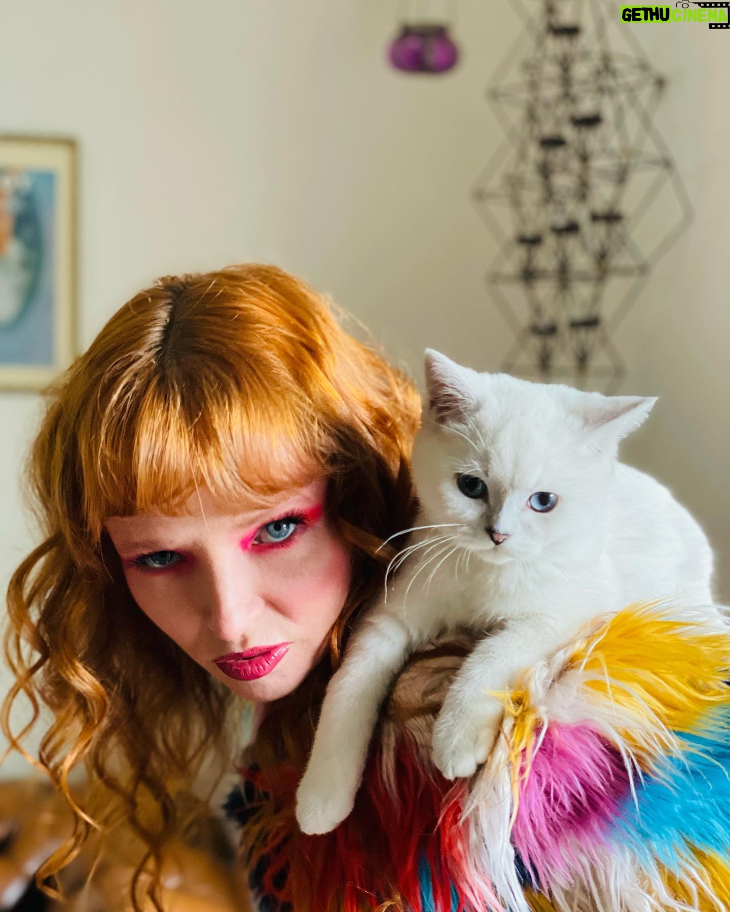 Stef Dawson - 601 Likes - BOWIE ⚡️vibes HMU by @fayelaurenmakeup with “Bowie”