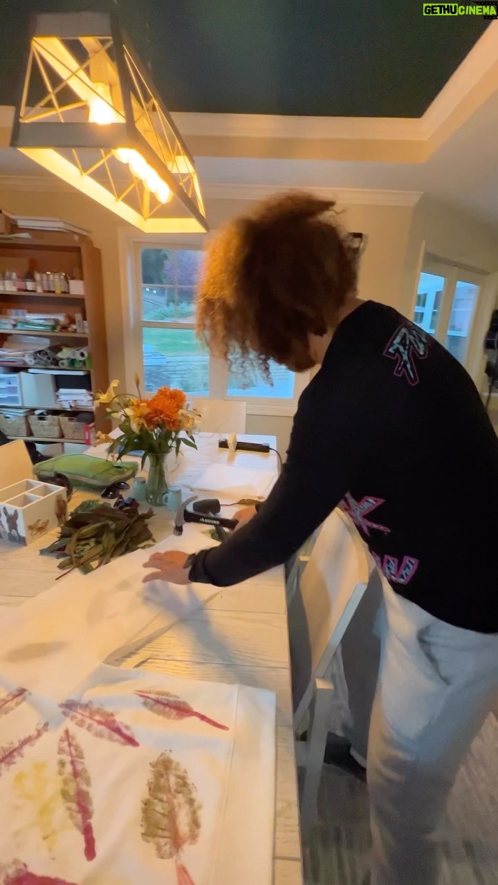 Stefan Gordy - 1.7K Likes - Doing something cool #plantdye #artsandcrafts #ecofriendly