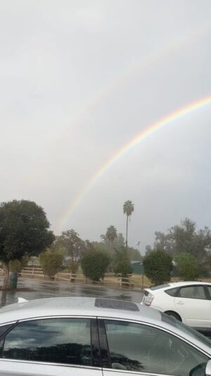 Stefan Gordy Instagram - Double Rainbow reprise