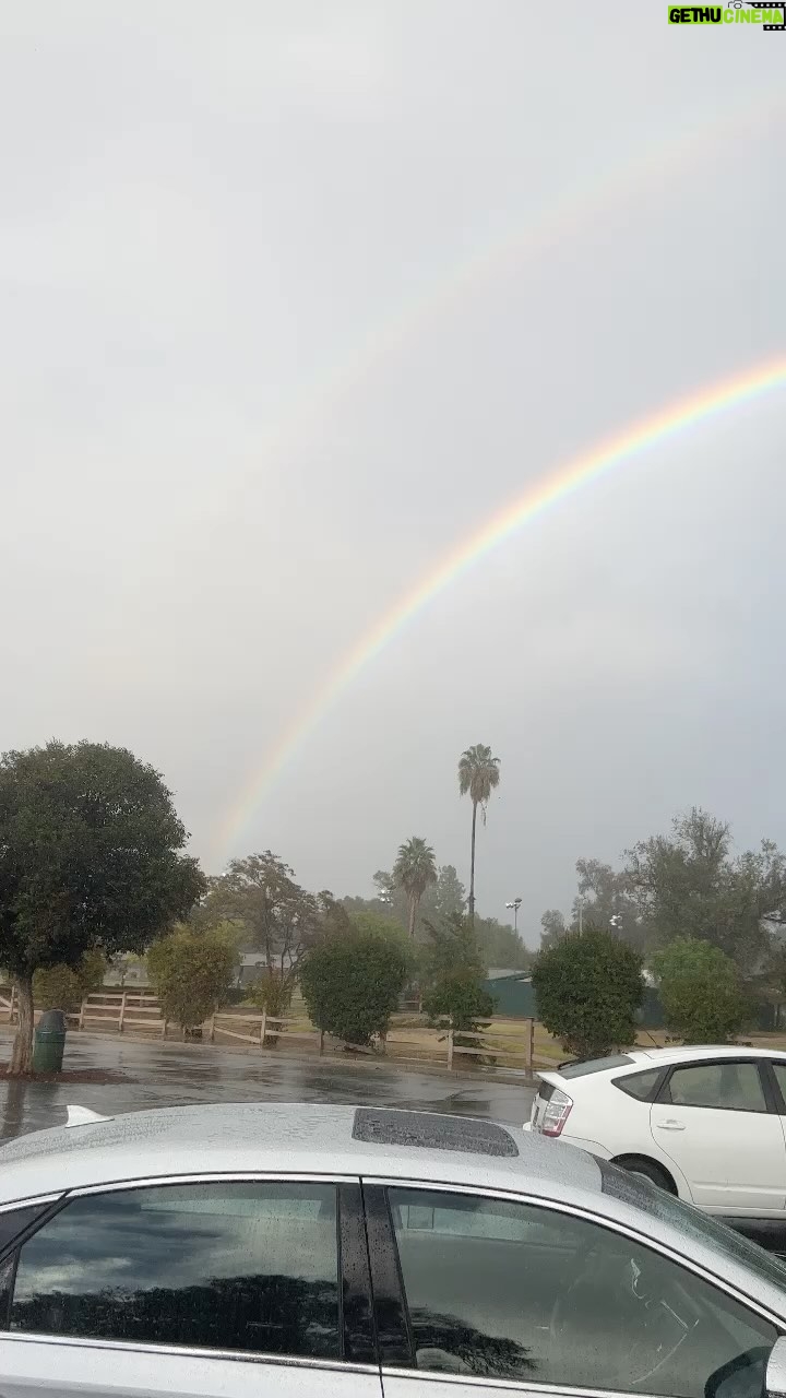 Stefan Gordy - 2.1K Likes - Double Rainbow reprise
