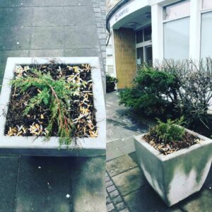 Stefán Karl Stefánsson Instagram - Hér er á ferðinni reykingafólk en ekki fjárskortur. Viðbjóður. These smokers have no respect. #angry #angryplantdad #dontletyourkidsdothis