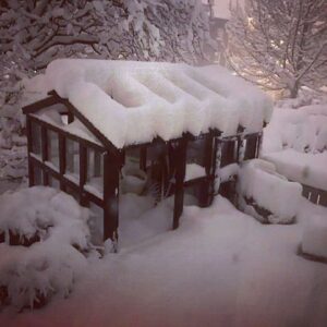 Stefán Karl Stefánsson Instagram - Enginn snjór í marga mánuði og svo kemur hann allur á einni nóttu. Góða skemmtun. No snow in months and it has come all in one night. #snow #planthouse #winter #coldplants #frozenplants #cold #snowsnowland #plantdadiswarm