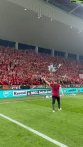 Steffen Baumgart Top 100 Instagram Photos and Posts
