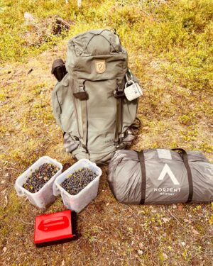 Steinar Sagen Instagram - Tilfredsstillende sanking av blåbær på Kjerringhøgda i Østmarka. 

@nortent_of_norway 
@radium_instruments_norge 
@fjellshop 
@reviroslo 
#reklame
