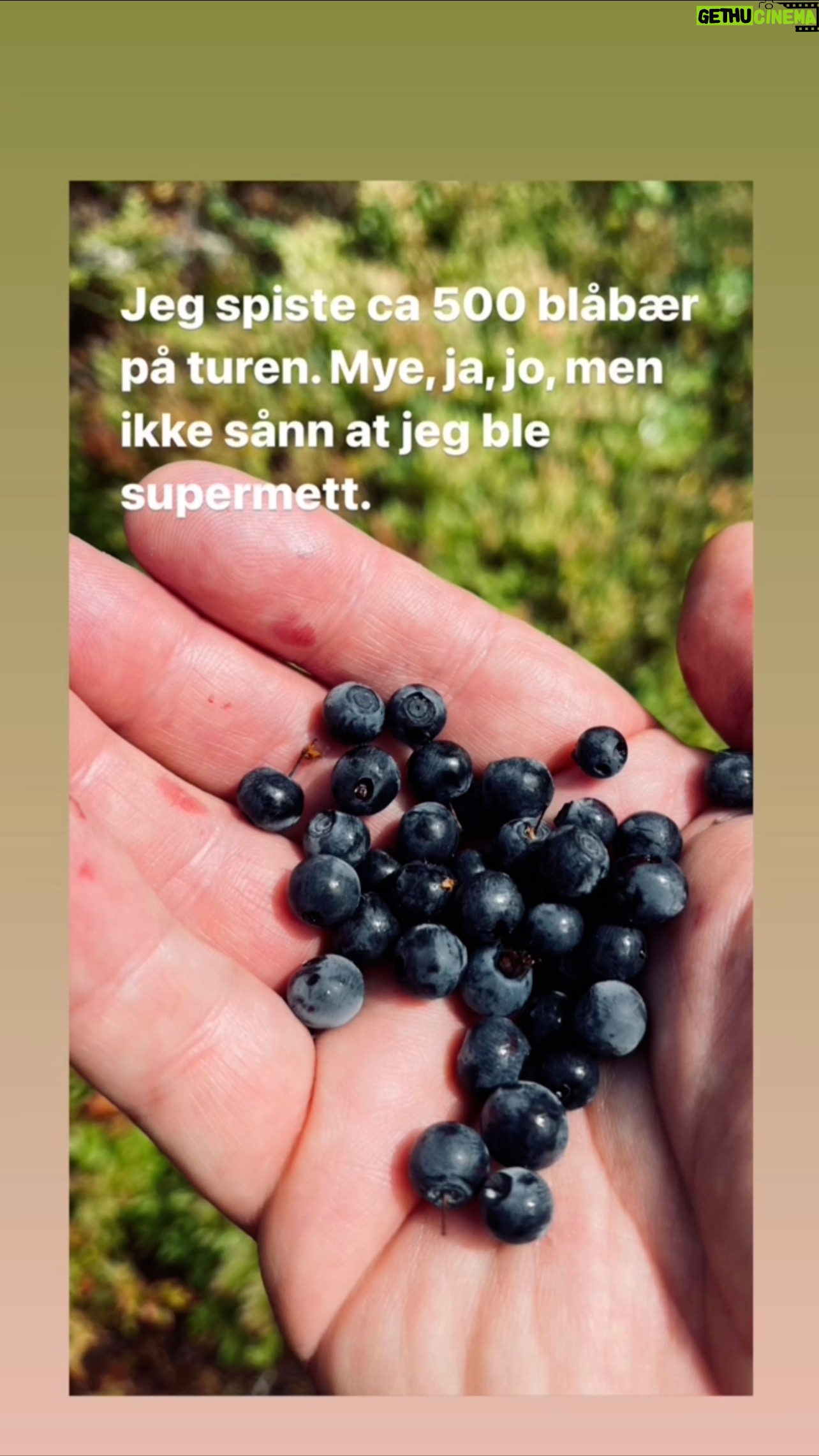Steinar Sagen - 3.8K Likes -