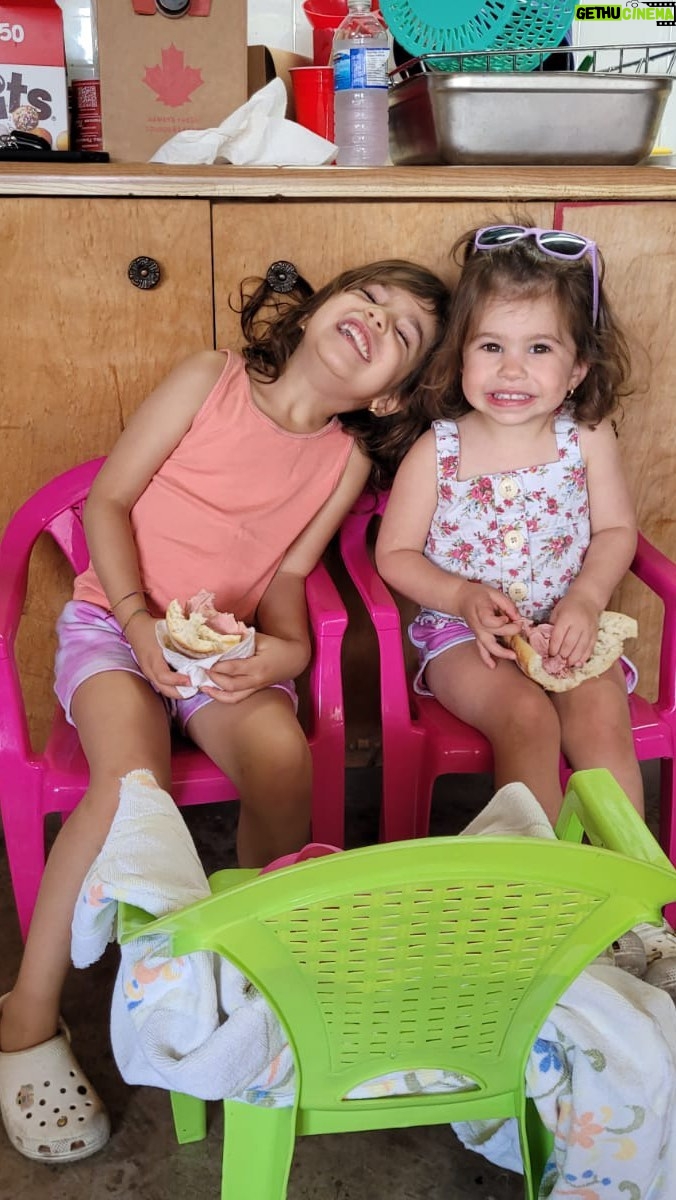 Stella Acquisto - 576 Likes - Cooking with Layla aka Cooking a la Layla, zucchini muffin edition. Join us as Layla and Gigi embark on an adventure to destroy Nonna’s kitchen. #zucchini #zucchinibread #recipe #muffins #kidswhocook #cookingwithlayla #cookingwithlaylarose #gigilove