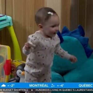 Stella Acquisto Instagram - Want some great holiday toy ideas? I was on BT today with some amazing kiddos talking toys that focus on education, creativity and fine motor skills.  Here are some ideas for all ages.  I ran out of time to thank everyone for all the help with today’s segment.  Special thanks to @petitlem who provided us all the pajamas. They have the best holiday collection with pjs and sweaters for the whole family.  I’ve had a few requests about the pjs already. 
Thank you to @hasbro @mastermindtoys @swerveprinc for providing all the toys for the segment. Thanks to @fujifilmprintlife for the wrapping paper which we ran out of time to show, but I will post it separately. 
Thanks to all of the kiddos (Rayne, Matteo, Liv, Layla and Gigi) and parents for waking up early for my segment and making my segment special.  Thanks to my amazing producer @kseeenniia and @ontariokevin @mrslaurareiter @sid_seixeiro @meredithshaw for making us a part of your day. Oh and thanks to uncle @itsdevobrown for entertaining the kiddos.

Hope this helps with the Christmas list everyone.  Now I’m off to sleep in my comfy pjs.  Xoxo