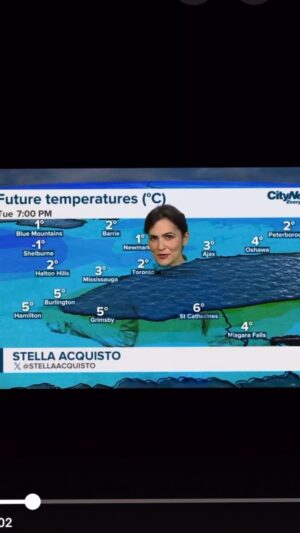 Stella Acquisto Instagram - Look Ma… I’m a ghost for Halloween.  What happens when you dress in all green in front of the green screen?  You become invisible.  The perfect last minute costume idea.  #halloween #greenscreen #halloweencostume #costume 
Video cred:  @henrylstephanie