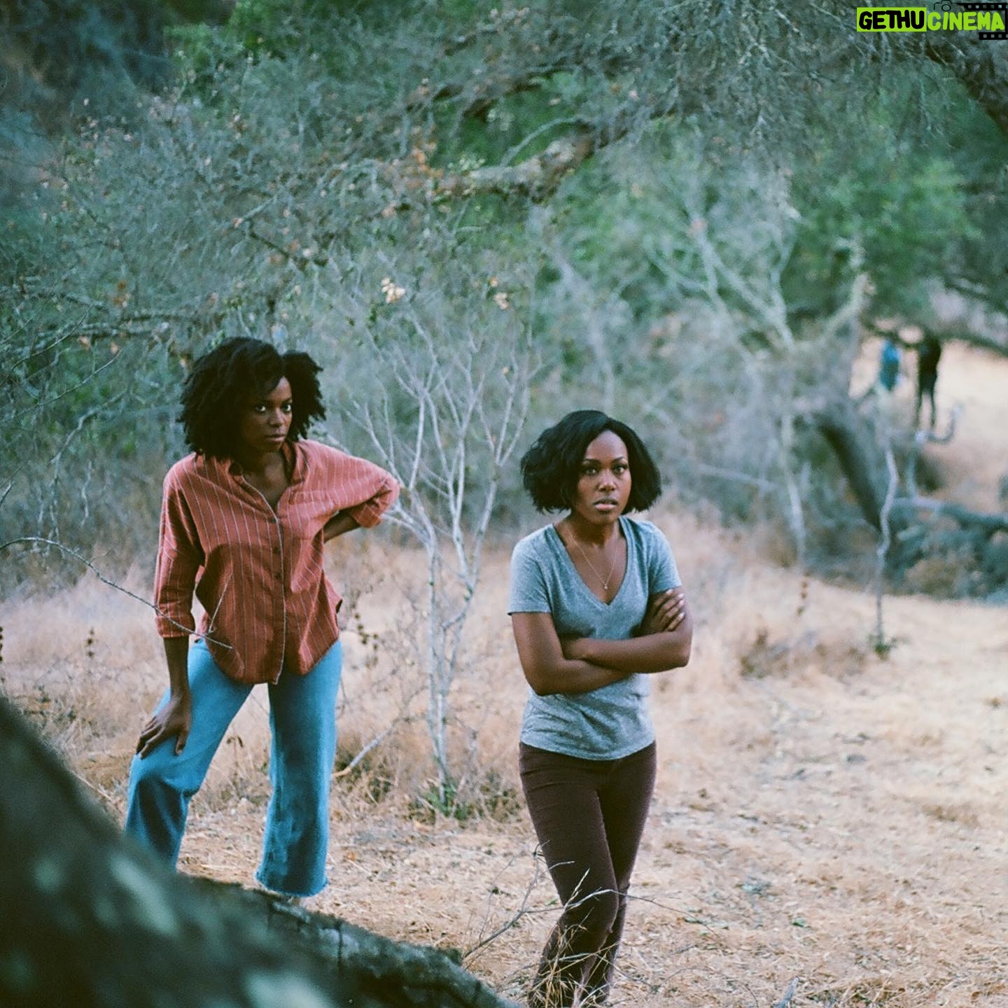 Stella Meghie - 3.3K Likes - Canadian friends — The Weekend is now available to watch on Netflix. Also streaming on EPIX in the U.S and on demand. 🍃