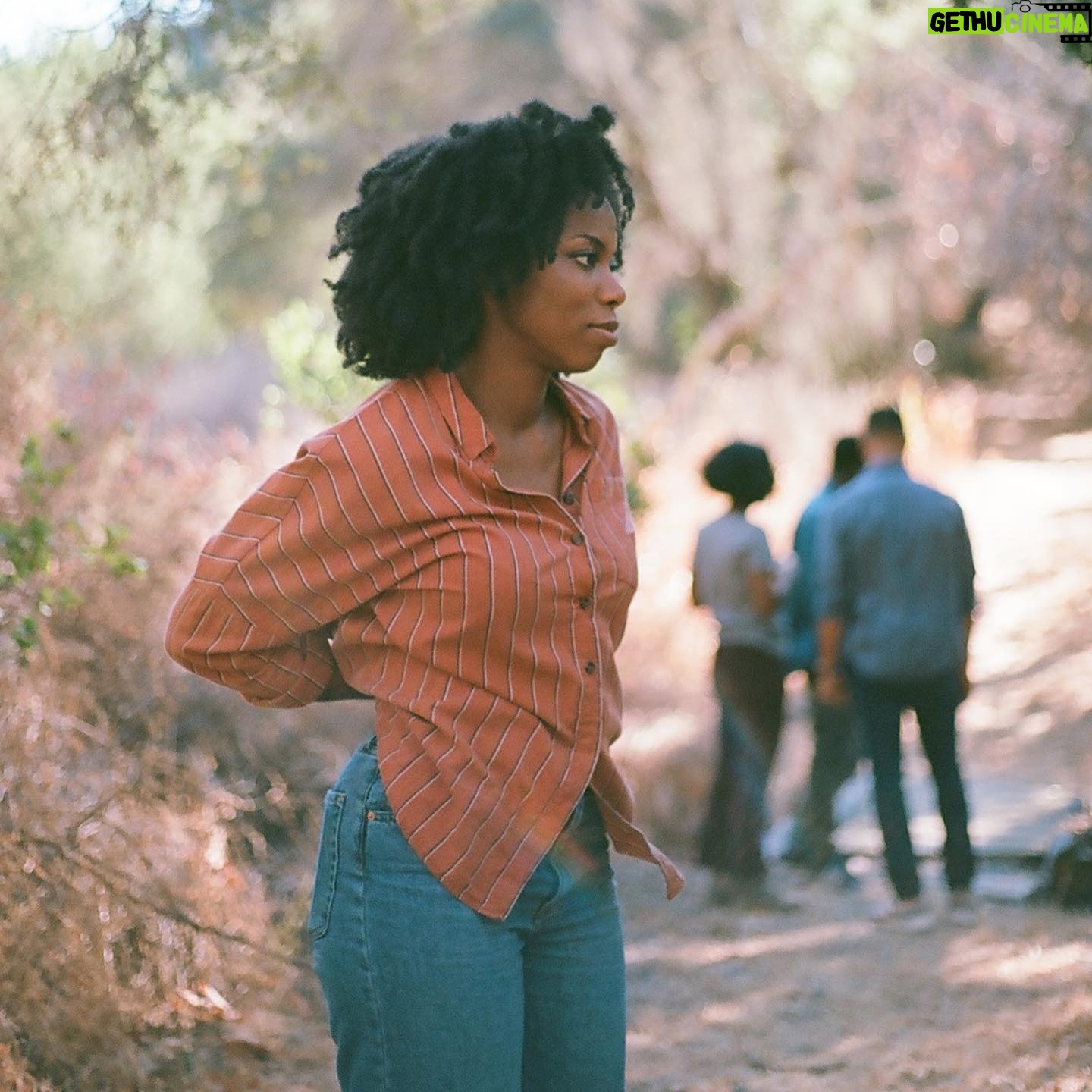 Stella Meghie - 2.6K Likes - The Weekend is now available to stream free on @Hulu and @amazonprimevideo ! We premiered at @tiff_net two years ago 🤍. If you haven’t seen — @thesheertruth delivers a brilliant performance 💫