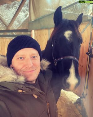 Štěpán Benoni Instagram - Je to fešák. #stan #quarterhorse