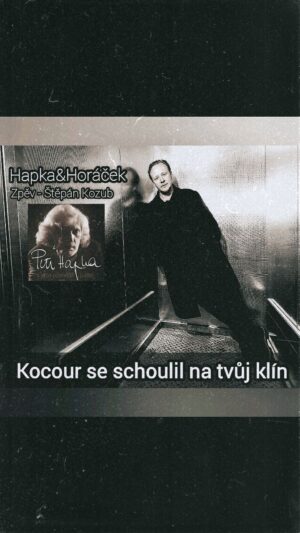 Štěpán Kozub Instagram - "Kocour se schoulil na tvůj klín" 
Hapka&Horáček 
Zpěv - Štěpán Kozub
(Z přímého přenosu Českého rozhlasu)

#music #live #acotr #Singer #prague #koncert #80 #song #pocta #work #job #orchestra