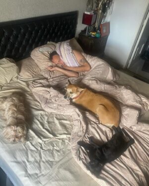 Stephanie Cardone Instagram - RICARDA
Ya ha pasado una semana y su presencia se siente en casa, es verla en su sofá preferido, en la jardinera diminuta tomando sol sin ningún vértigo de estar más cerca del cielo que del suelo, son sus bolas de pelos que aún danzan con el viento en la mitad de la sala, porque como botaba pelo la Ricarda.

La extraño tanto, su forma de abordarme en la mañana cuando sabía que ya me había despertado, cuando saltaba a la cama apenas escuchaba que estaba consintiendo a Gael porque ella también quería ser apurruñada, su rareza de no saber si quería morder o amar… Su mirada, esa mirada incómoda que tanto decía. Awkward Ricarda y su Caraeculpable.

Ella llegó un día a las puertas de nuestros corazones, pérdida, abandonada, con las marcas que deja ser maltratada y por la bondad de un niño de 3 años y el amor que nos hizo sentir tuvimos el honor de disfrutarla por 6 años que nos marcaron para toda la vida.

Solo les puedo decir si un animal llega a ti ¡adóptalo! Créeme que vienen a hacer de tu vida una mucho mejor.