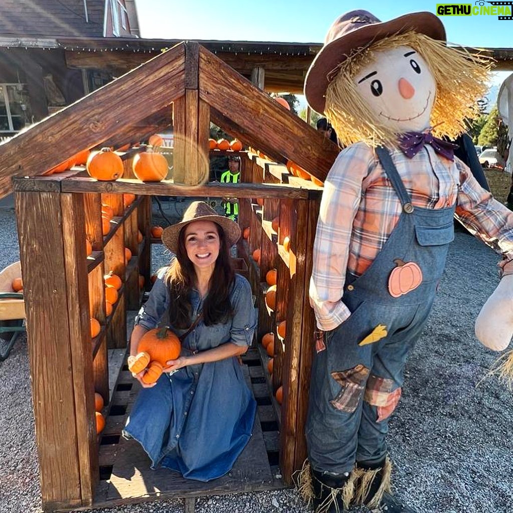Stephanie Panisello - 1.8K Likes - “Magic is really very simple, all you’ve got to do is want something and then let yourself have it.”
-Aggie Cromwell, (HALLOWEENTOWN)
Happy Halloween! Hope you get to celebrate with a good ole healthy scare! 🎃🧟♀️🍂👻
#halloween #pumpkinpatch #hungry