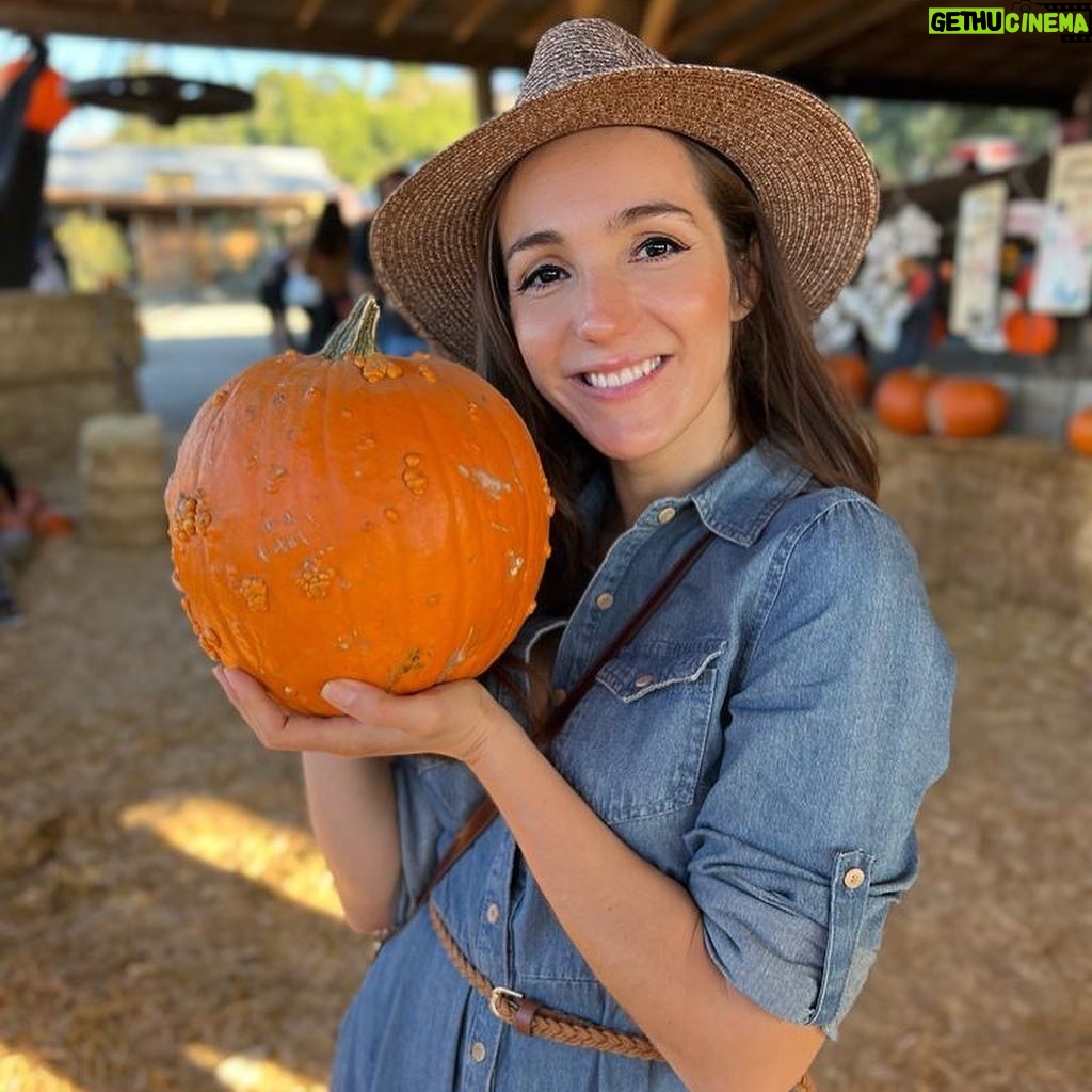 Stephanie Panisello - 1.8K Likes - “Magic is really very simple, all you’ve got to do is want something and then let yourself have it.”
-Aggie Cromwell, (HALLOWEENTOWN)
Happy Halloween! Hope you get to celebrate with a good ole healthy scare! 🎃🧟♀️🍂👻
#halloween #pumpkinpatch #hungry