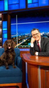 Stephen Colbert Top 100 Instagram Photos and Posts