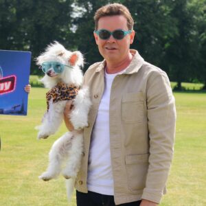 Stephen Mulhern Instagram - Don’t mind us! We’ve just popped out for a stroll in the sun... #IFAP