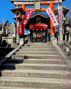 Sterling Knight Instagram - Photo Dump - Fushimi Inari Shrine 

We caught the most glorious day here in Kyoto. Here’s a few of my favorite shots. #travel #backpacklife #japan #kyoto