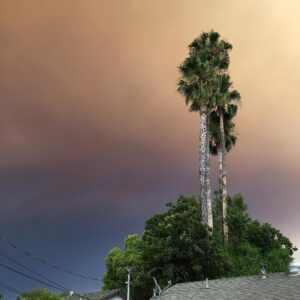 Sterling Knight Instagram - The sky in la right now. Really hoping everyone stays safe and this fire is contained soon. #nofilter #seriously