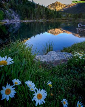 Steve Agee Instagram - My focus stacking needs so much work, as well as blending two different exposures. Regardless, I stood here.
.
.
#landscapephotography #mountains #lake #wildflowers #focusstacking #a7riii #sonyalpha