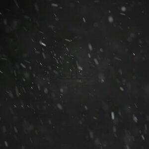 Steve Cutts Instagram - Here's a little festive teaser to bring joy to your day. Happy holidays! Link to full trailer in bio 😀 #stevecutts #animation #trailer #christmas #festive #december #deer #film