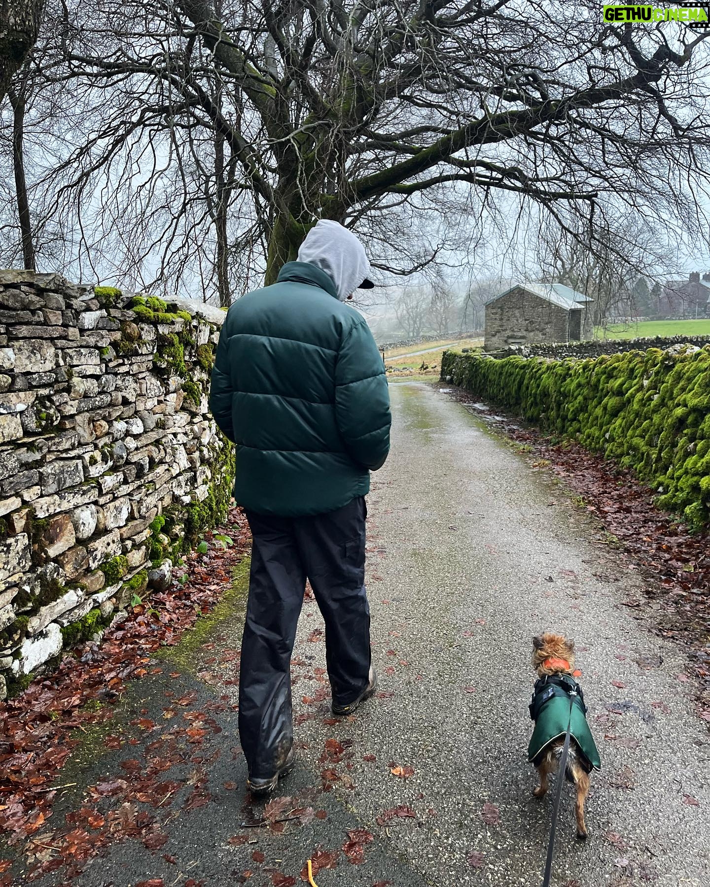 Steve Stamp - 3 Likes - Peanut is 3 years old today. Yes we have matching coats.