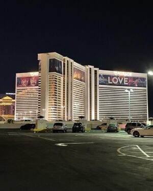 Steve Zaragoza Instagram - From the year it opened, to the day it closed, I saw this show 5 or 6 times. It was a magical, dopamine machine. Endlessly impressed by what Cirque performers are capable of. Incredible humans. Combine all that with the music of the Beatles. Love was a massive part of what made Vegas special. A perfect show. And now it’s gone forever. I absolutely bawled like a dang baby at the end. LOVE IS DEAD. LONG LIVE LOVE! (Oh also RIP The Mirage 🌋 )  #beatleslove #cirque #cirquedusoleil #thebeatleslove #mirage #lasvegas #thebeatles