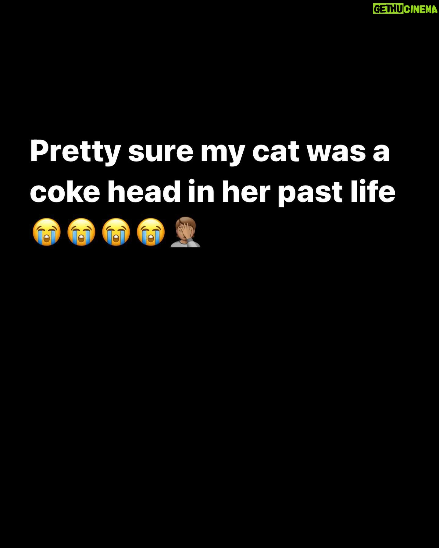 Styles P - 3.6K Likes - She be bugging out 😭😭😭😭