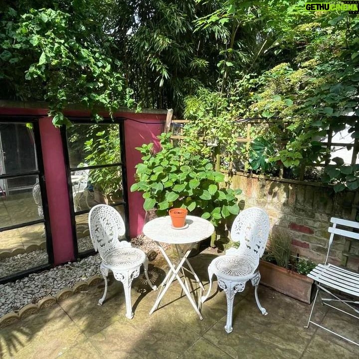 Su Pollard - 1.6K Likes - A big, "Let's Get Summer Going", hello from my back garden. Well, more of a yard, really... 🌷🌼💠🌺
Just had a garden rescue and it's now looking fab and welcoming for the Summer! ❤️🌞
#SuPollard #Summer #RescuedGarden #Gardening
@dmo_gb