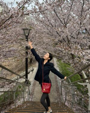 Sue Son Instagram - 🌸 #벚꽃 #cherryblossoms 🌸