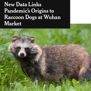 Sufjan Stevens Instagram - I know I shouldn’t but I definitely want a raccoon dog for Christmas please please please

[This is a repost from Sufjan’s tumblr posted by @asthmatickittyrecords]