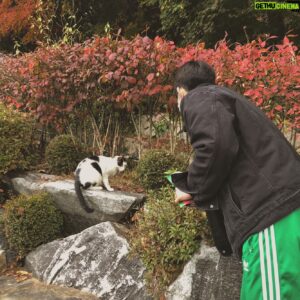 Suh Dong-hyun Instagram - 수험생 여러분들 수고하셨습니다💪🏼
가채점도 높게 나오고 성적표는 더 높게 나오는 기적이 일어나길 바랍니다🙏🏻