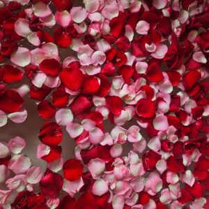 Suh Yun-a Instagram - 🇻🇳🥀🏝️🪂🤤