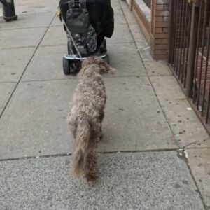 Suh Yun-a Instagram - 🗽🇺🇸♥️
귀여운 것들과 나