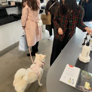 Suh Yun-a Instagram - 🗽🇺🇸♥️
귀여운 것들과 나