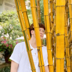 Sukrit Wisetkaew Instagram - แอบมองเธออยู่นะจ๊ะ 😁