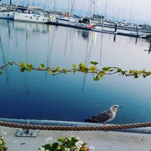 Sultan Köroğlu Kiliç Instagram - Bir bekleyiş çığlık çığlığa..........