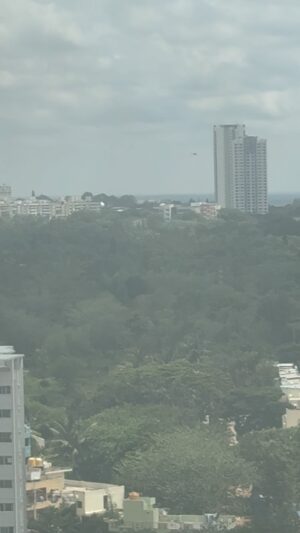 Suni Instagram - #horrible #zoom 
#myroomview