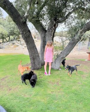 Sunnie Pelant Instagram - 💞Happy Easter💞 Spot some of the pups sneaking in, how many do you see? Thanks @seannapelant for the great pics 🫶 #hoppyeaster🐰 #grateful #puppys #ilovemysister