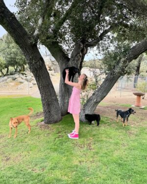 Sunnie Pelant Instagram - 💞Happy Easter💞 Spot some of the pups sneaking in, how many do you see? Thanks @seannapelant for the great pics 🫶 #hoppyeaster🐰 #grateful #puppys #ilovemysister